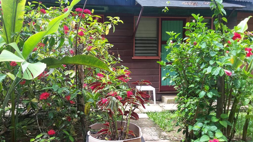 Secret Cabins At Firefly Beach Cottage Negril Quarto foto